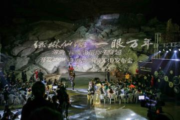 广东省省长王伟中:稳妥推进“粤车南下”