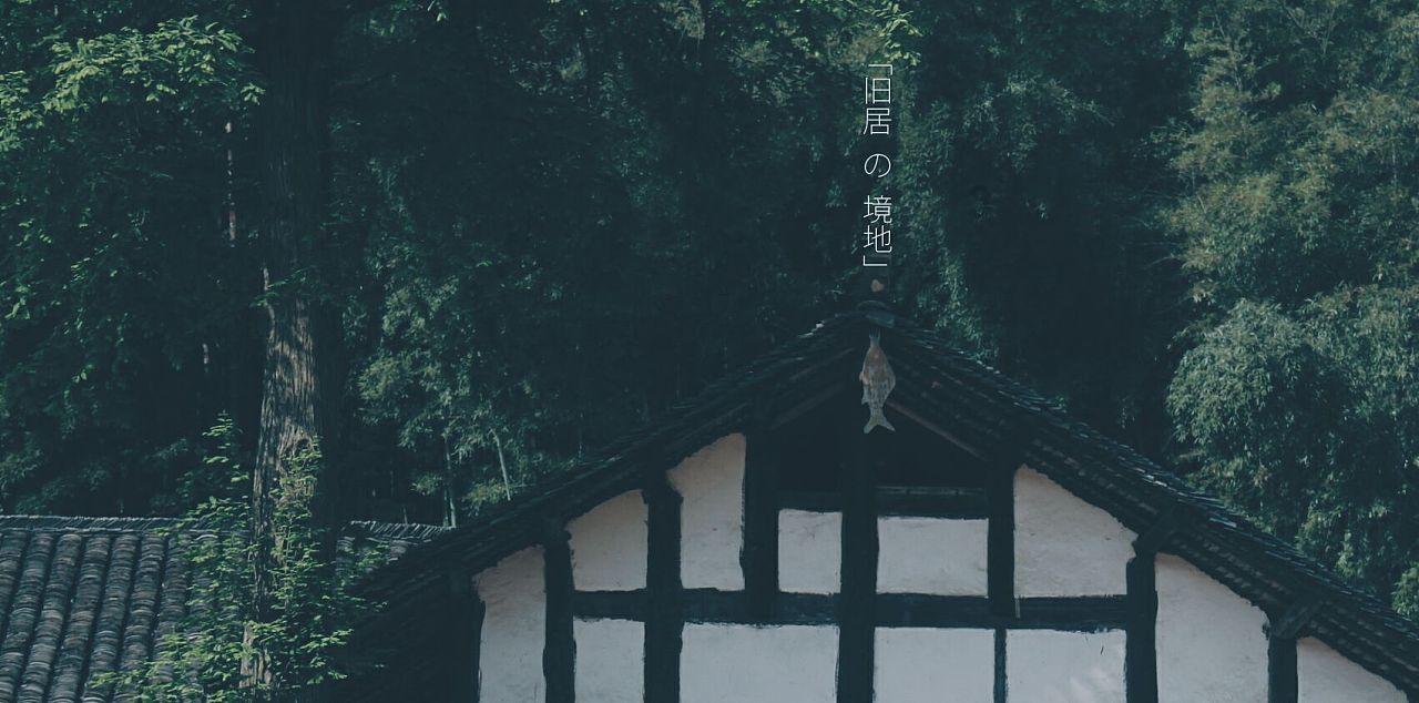 险难环境提升驾驶技能