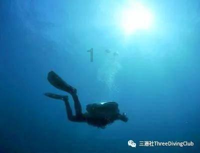 凤凰象征的意义？游戏画面
